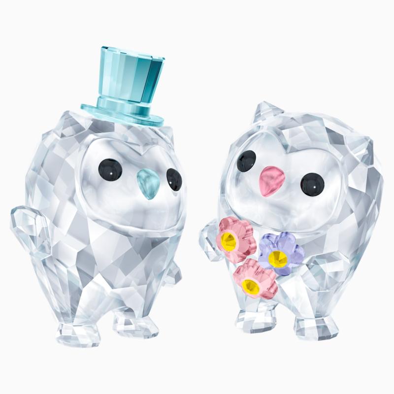 Hoot We are in love