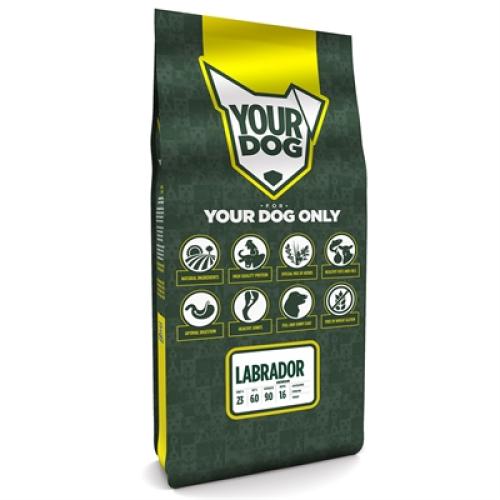 Yourdog Labrador senior