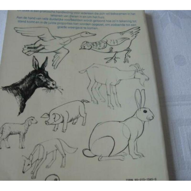 Felix lorenzi hoe teken ik dieren zie foto's