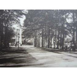 APELDOORN Hotel Bloemink Loolaan 1930