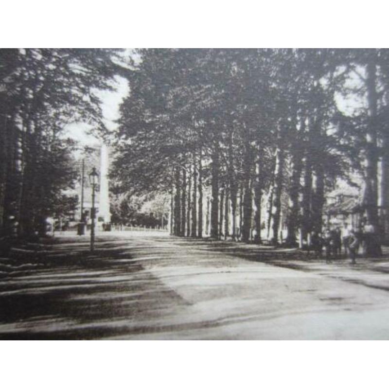 APELDOORN Hotel Bloemink Loolaan 1930