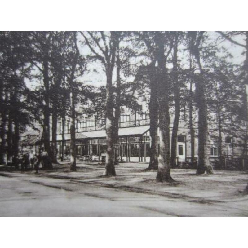 APELDOORN Hotel Bloemink Loolaan 1930