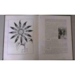 (Dordrechtse Football - Club) Herdenkingsboek 50 jaar D.F.C.