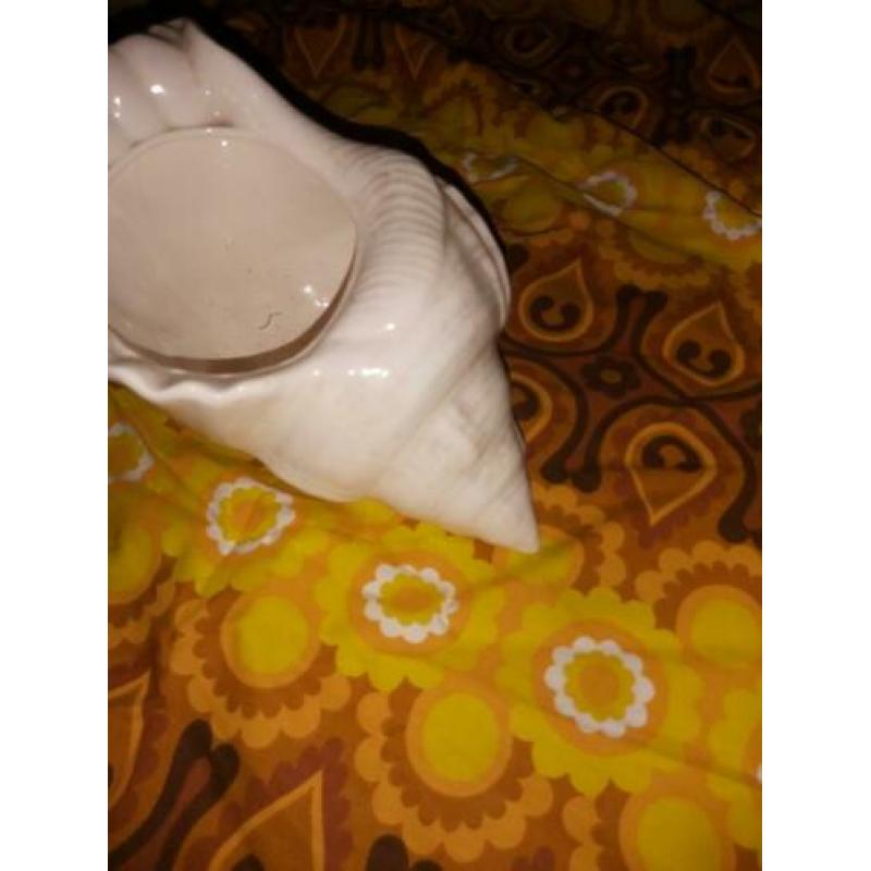 Vintage retro bloempot schelp