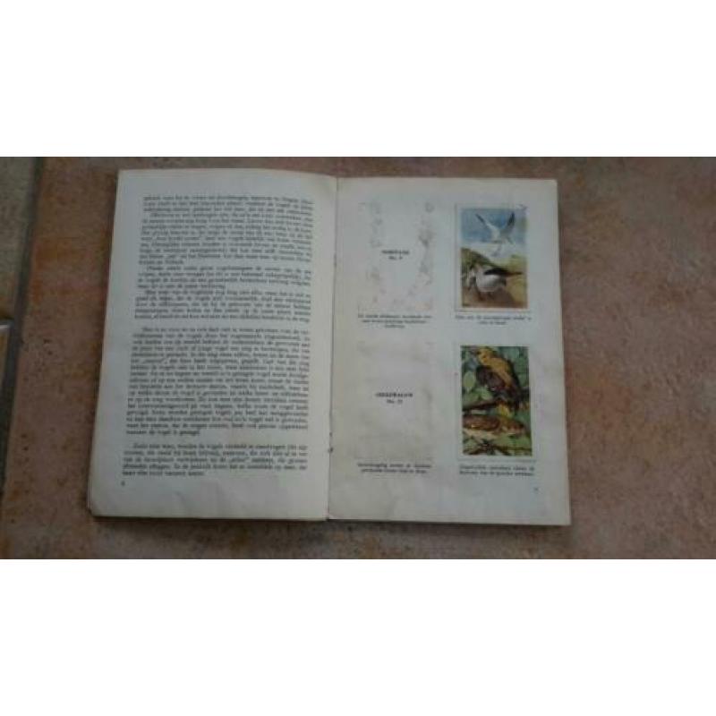 Plaatjesalbum "Dieren als Toeristen"-/K&G.