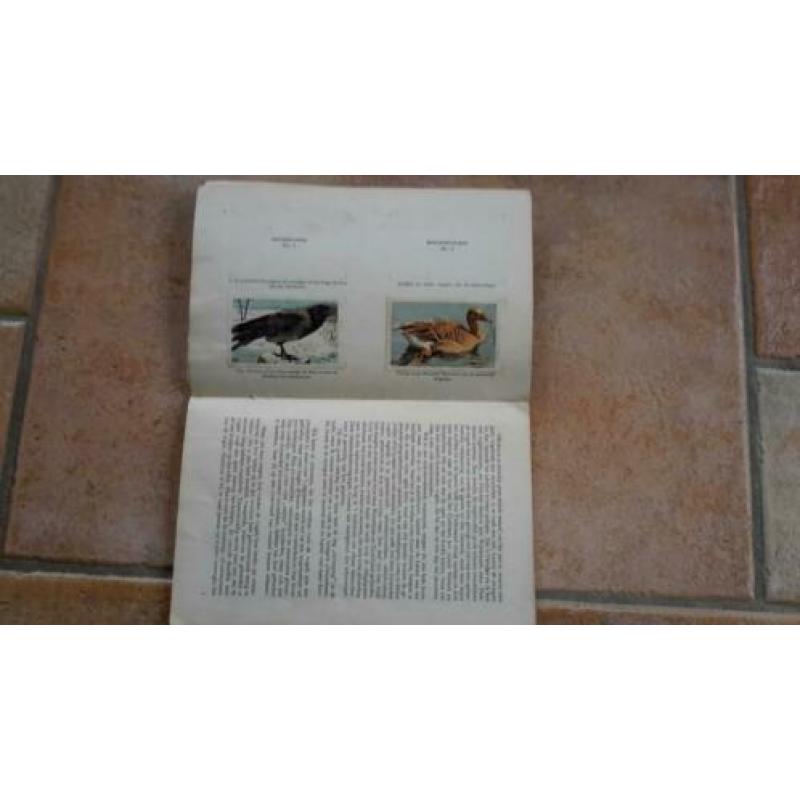 Plaatjesalbum "Dieren als Toeristen"-/K&G.