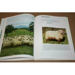 Boek - Engelse schapenrassen !!