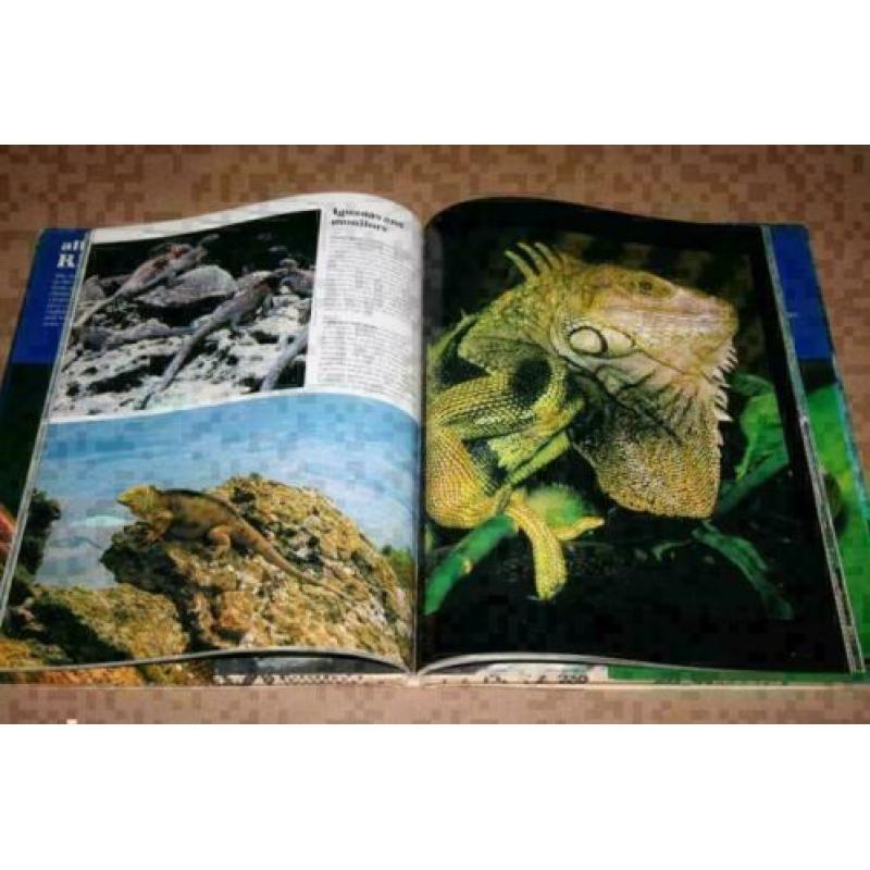 All Colour Book of Reptiles !!
