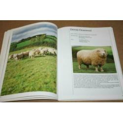 Boek - Engelse schapenrassen !!