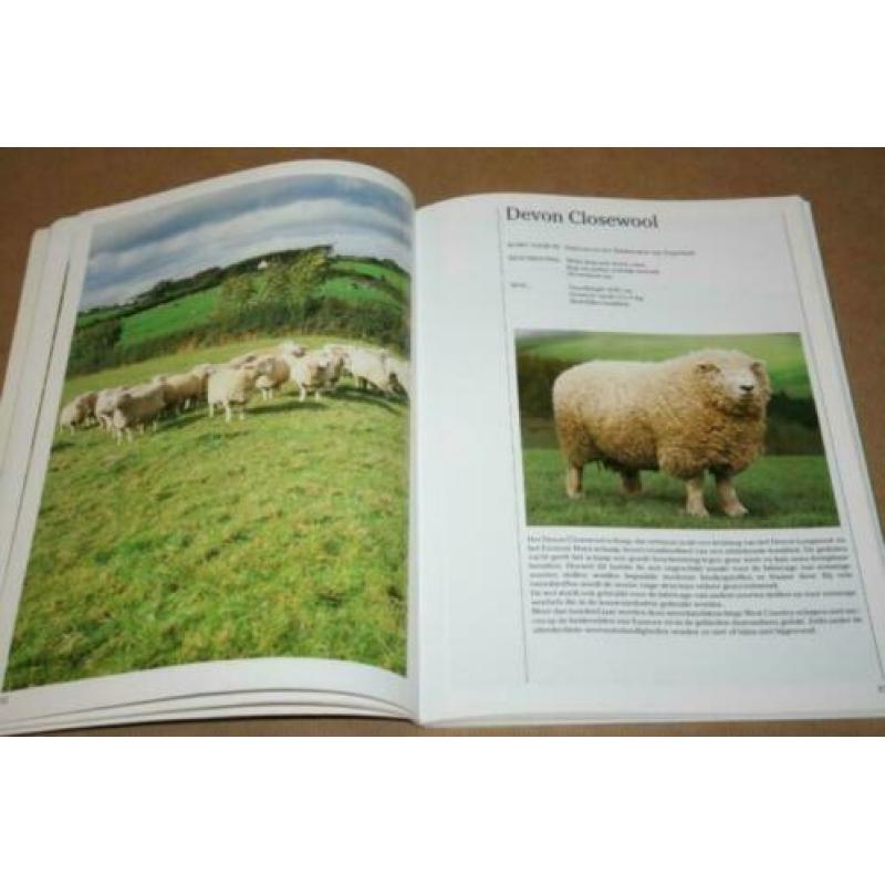 Boek - Engelse schapenrassen !!