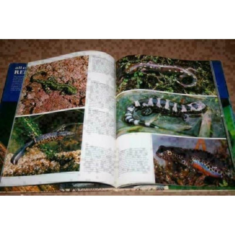 All Colour Book of Reptiles !!
