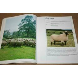 Boek - Engelse schapenrassen !!