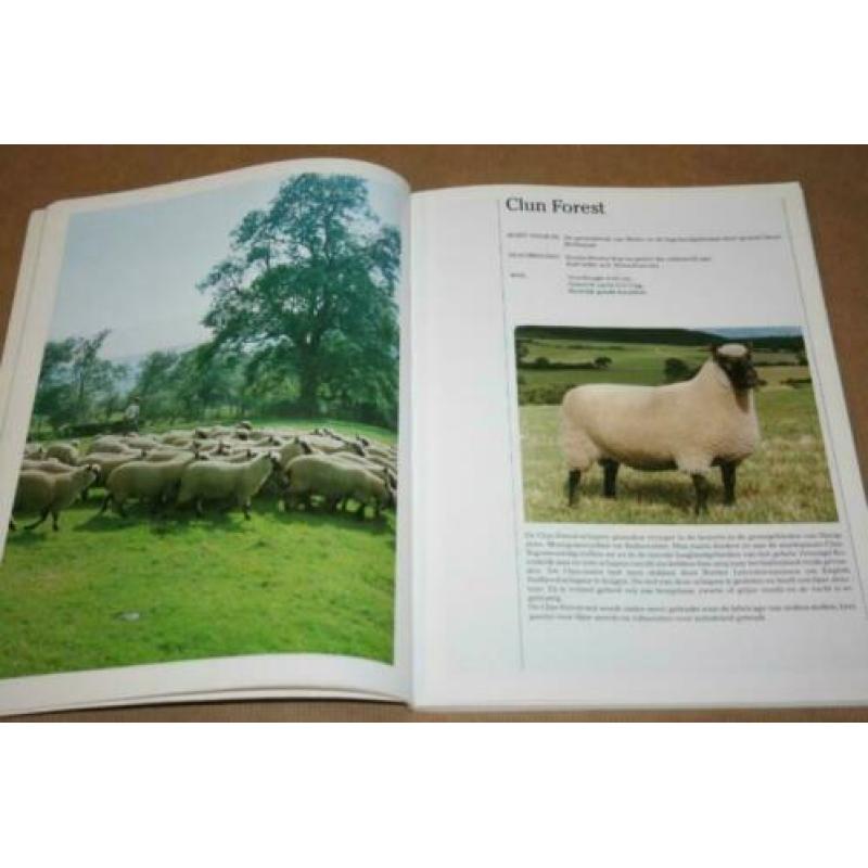 Boek - Engelse schapenrassen !!