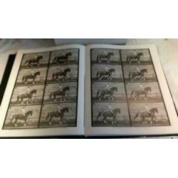 Das Dressur Pferd (German Edition) (Hardcover)IZGS 2 stuks