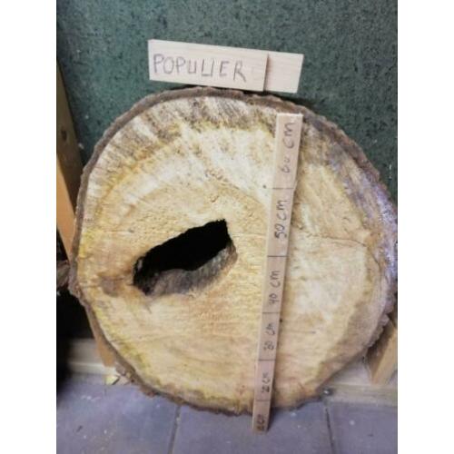 Boomstam schijf 60 cm