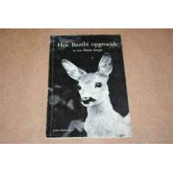 Hoe Bambi opgroeide in een Deens dorpje 1954 !!