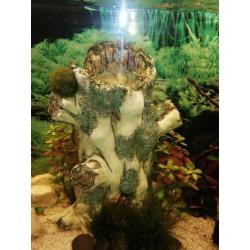 Diverse aquarium decoratie stukken
