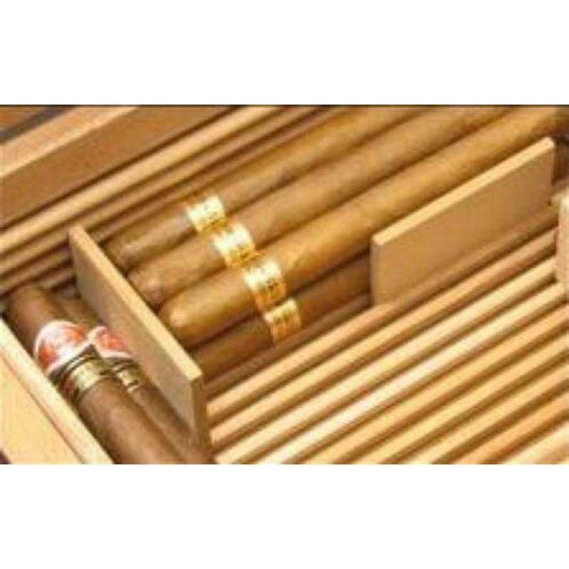 h164 HUMIDOR ADORINI ® 75 SIGAREN TREVISO DELUXE sigarenkist