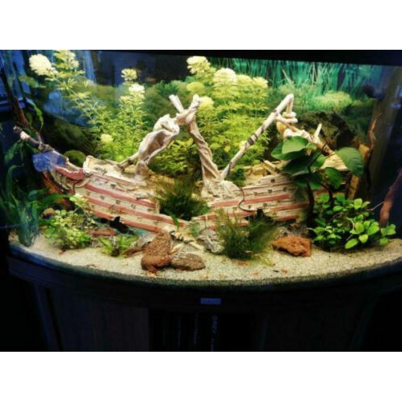 Diverse aquarium decoratie stukken