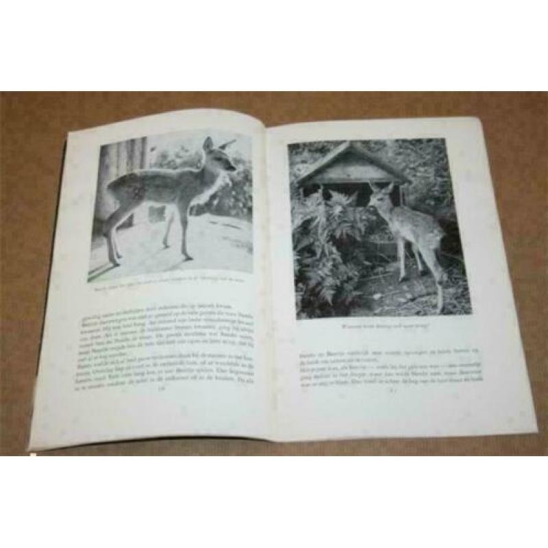 Hoe Bambi opgroeide in een Deens dorpje 1954 !!