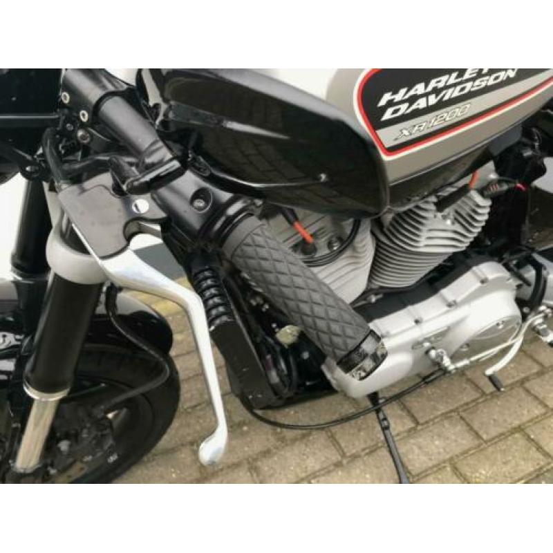 XR1200 Harley Davidson caferacer