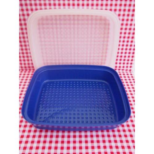 101 Marinade schaal, zgan , en meer Tupperware adv.