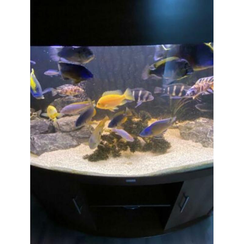 Aquarium