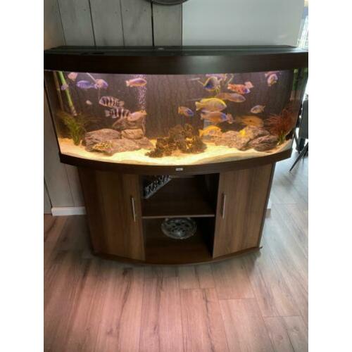 Aquarium