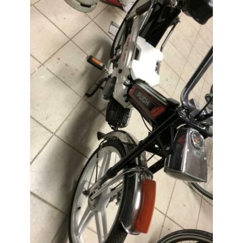 Puch maxi city 25. Snor