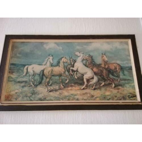 Schilderij wilde paarden nu 25€
