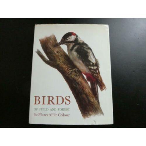 Birds of Field and Forest - 62 Plates in Colour