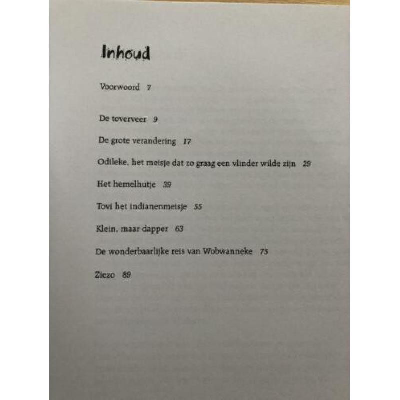 Het Hemelhutje -reis naar de hemel om te zien waar oma woont