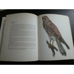 Birds of Field and Forest - 62 Plates in Colour