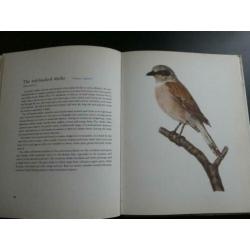 Birds of Field and Forest - 62 Plates in Colour