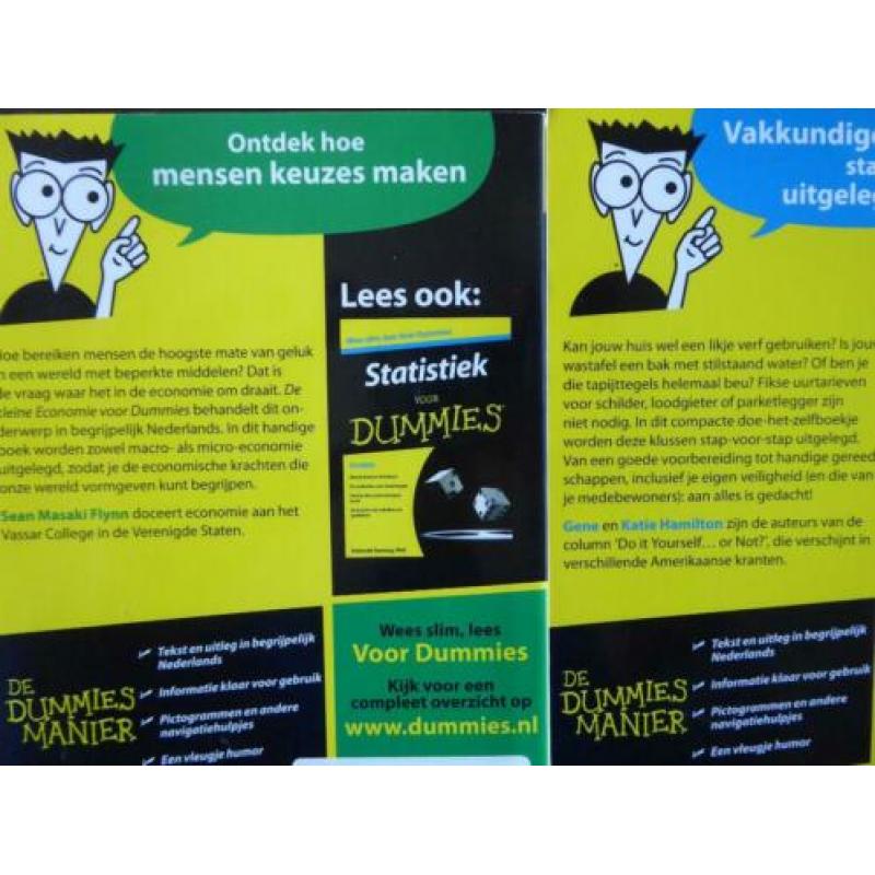 3v2 De KLEINE KLUSSEN voor DUMMIES + ECONOMIE vr DUMMIES