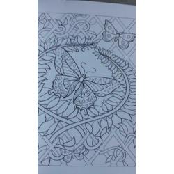 Beautiful Butterfly Designs