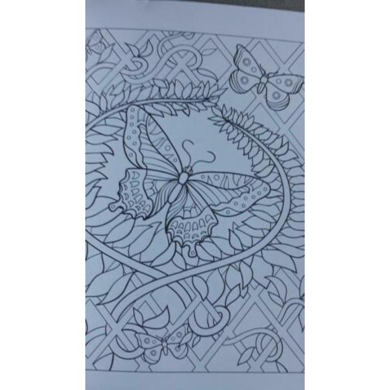 Beautiful Butterfly Designs