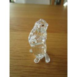 Te koop van Swarovski de Marmot