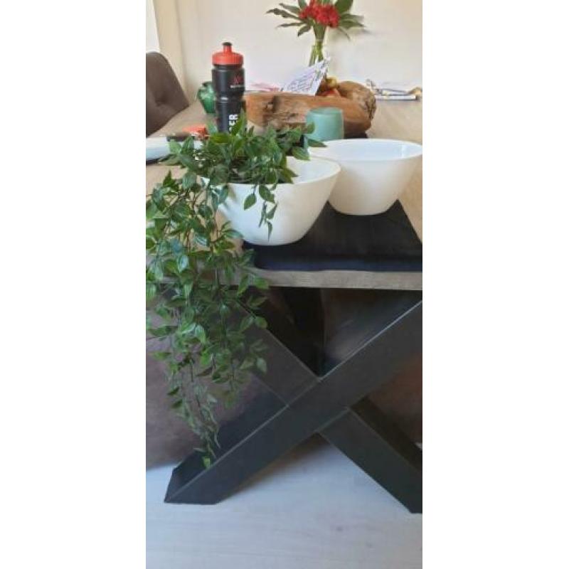 Twee Indoor & Outdoor Plantenbakken HOOGGLANS WIT