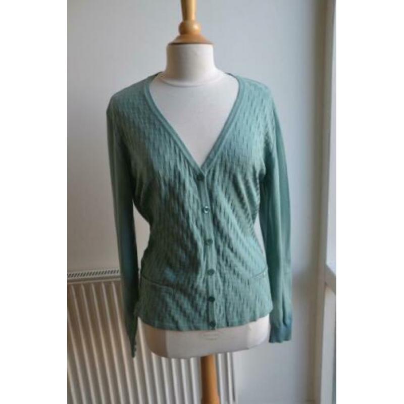 Prachtig vest van Roberto Sarto mt 46, nieuw!!!
