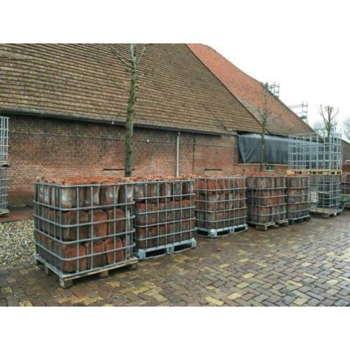 Gezocht ) oude holle dakpannen rood en blauw gesmoord )