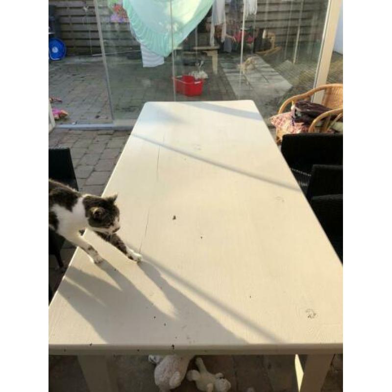 Mooie grote grenenhouten tafel