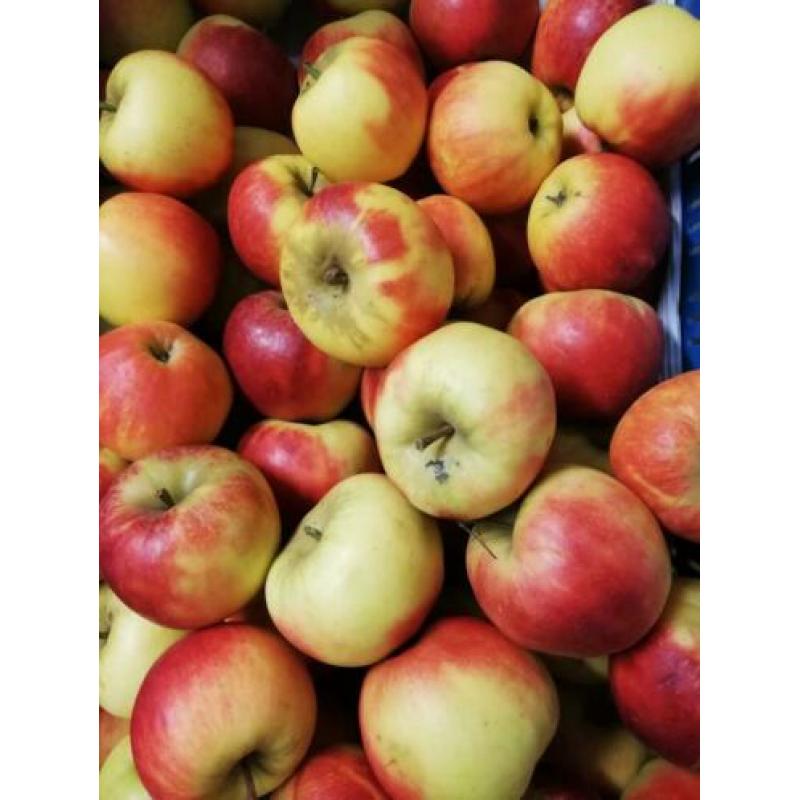 Fruit en Groente super lekker.