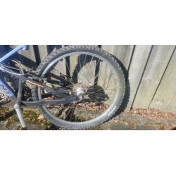 Heren mountainbike