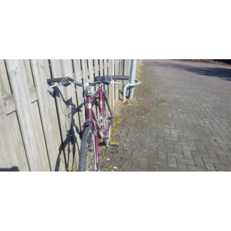 Heren mountainbike