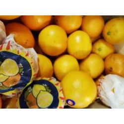 Fruit en Groente super lekker.