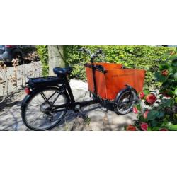 Babboe Big Elektrisch
