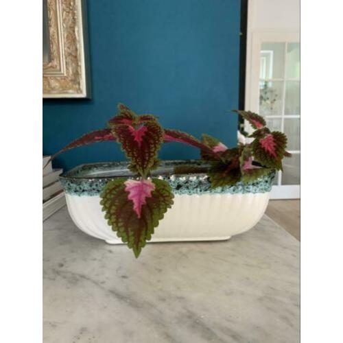 Vintage bloembak groen keramiek plantenbak