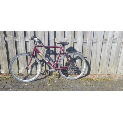 Heren mountainbike