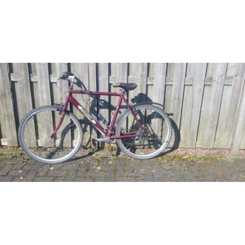 Heren mountainbike